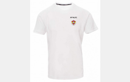 Projet Saison 2025/2026